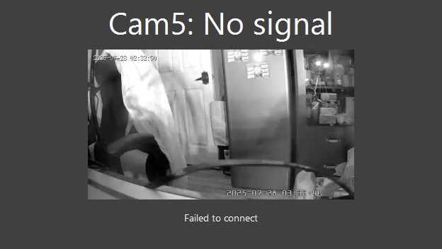 CAM2